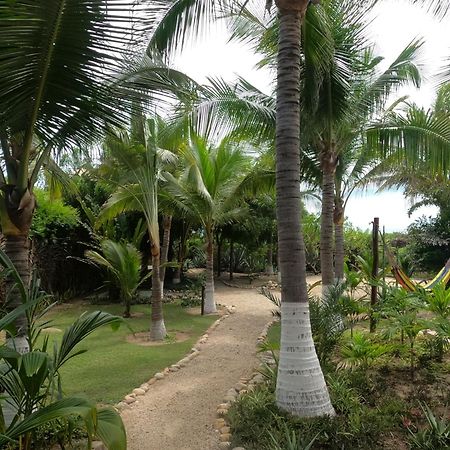 Ocean Oasis Hotel - Adult Only, Four Casitas Boutique Resort Agua Blanca 외부 사진