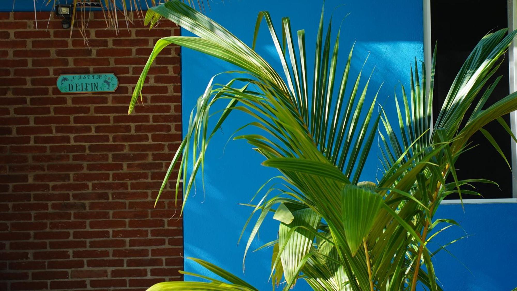 Ocean Oasis Hotel - Adult Only, Four Casitas Boutique Resort Agua Blanca 외부 사진