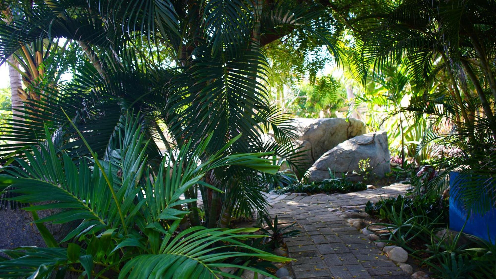 Ocean Oasis Hotel - Adult Only, Four Casitas Boutique Resort Agua Blanca 외부 사진