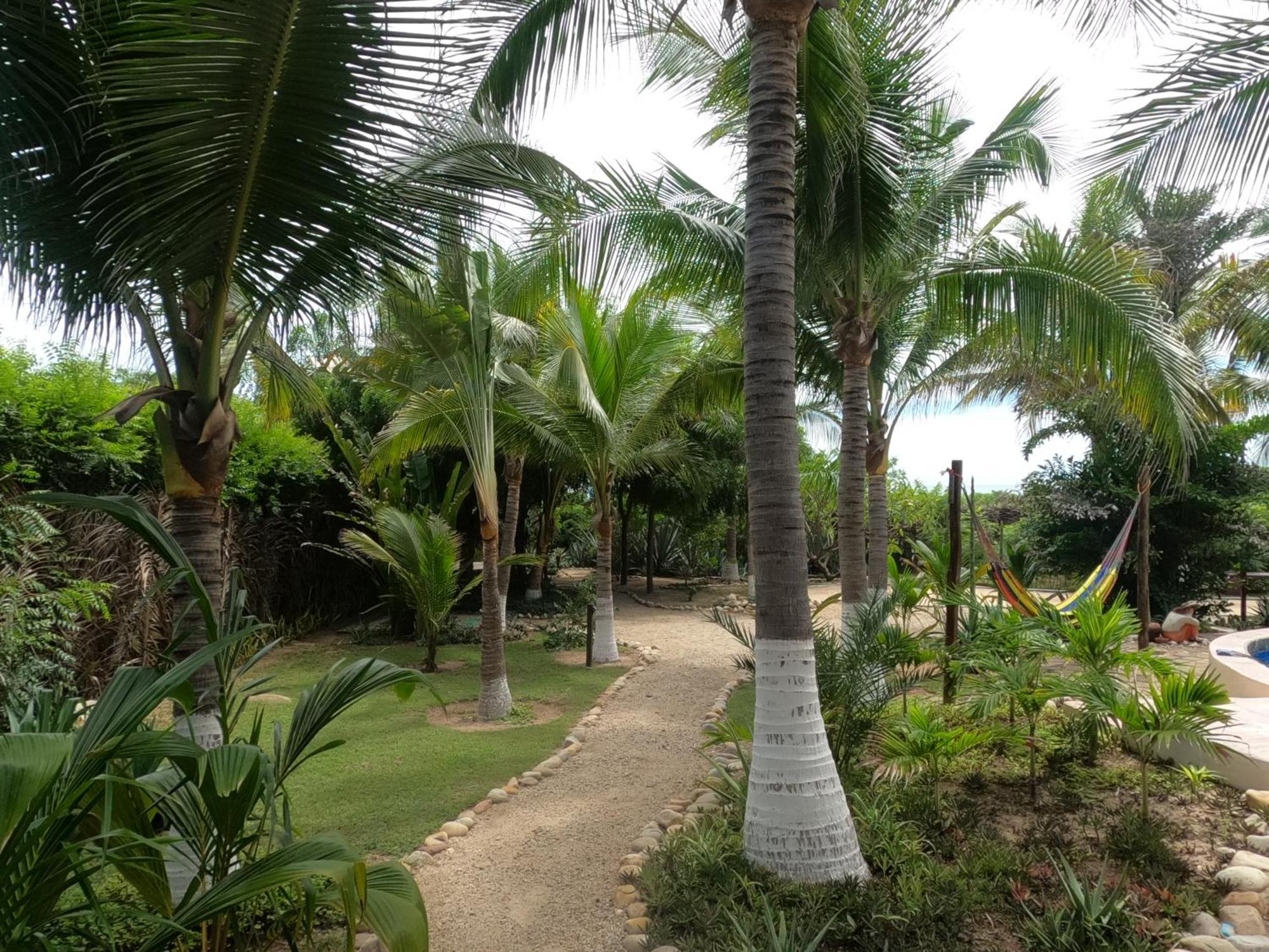 Ocean Oasis Hotel - Adult Only, Four Casitas Boutique Resort Agua Blanca 외부 사진